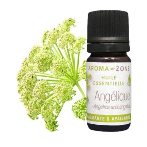 Huile Essentielle d’Angélique , AROME-ZONE Pour Harmonie du Corps &amp; de l’Esprit , 2ml et 5 ml